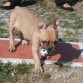 Kon su pelotitaa y dando guerraaa